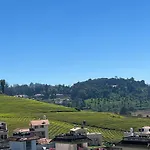 Green Villa