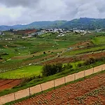 Britiish County Ooty