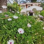 Narmada Holiday Home