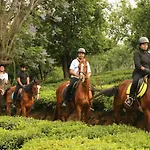 Willow Hill By Nature Resorts And Stays