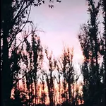 Hideaway43