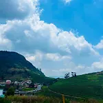 Away From Home - I