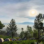 Janardan Tea Campsite Ooty