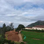 Forest Gate Villa
