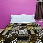 Nilgiri Dream House