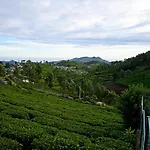 Fern Ville Ooty