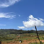 The Wooden Springs