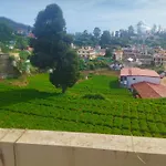 Ooty Mountain Cottage