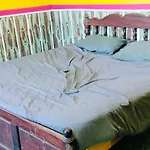 Kmt Green House Ooty