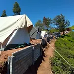 Swiss Tents In Ooty, Tn