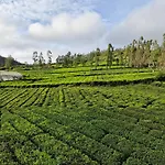 Meadow View Ooty