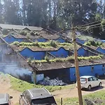 Cat Villa Ooty