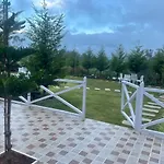 Orchard Valley View
