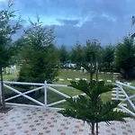 Orchard Valley View