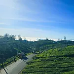 Casspo-Aurora In Ooty