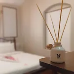 The Humming Bird A Stay Chapter