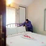 The Humming Bird A Stay Chapter