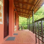 Tamarind Tree