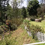 The Great Escape