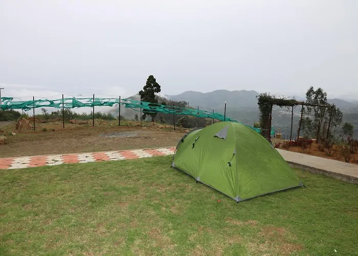 Nest Inn Nature