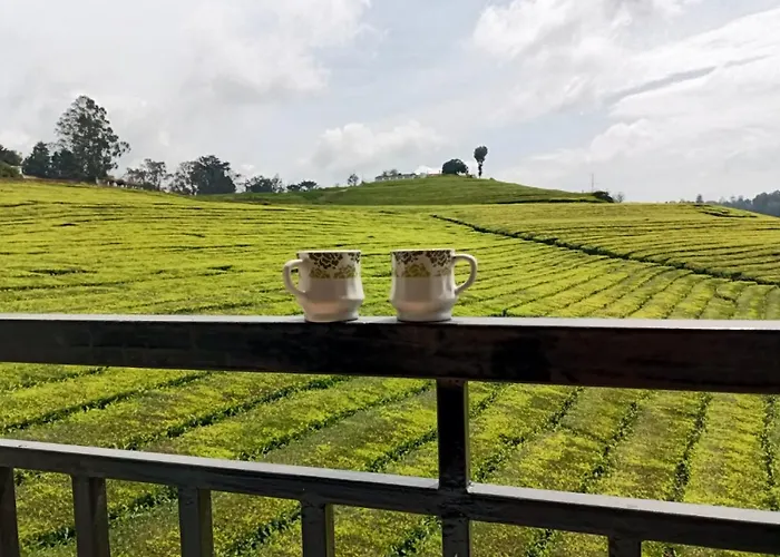 Tea Estate View Stay