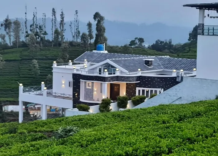 Orchard Valley View