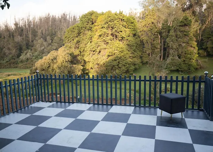 Rr Forest View