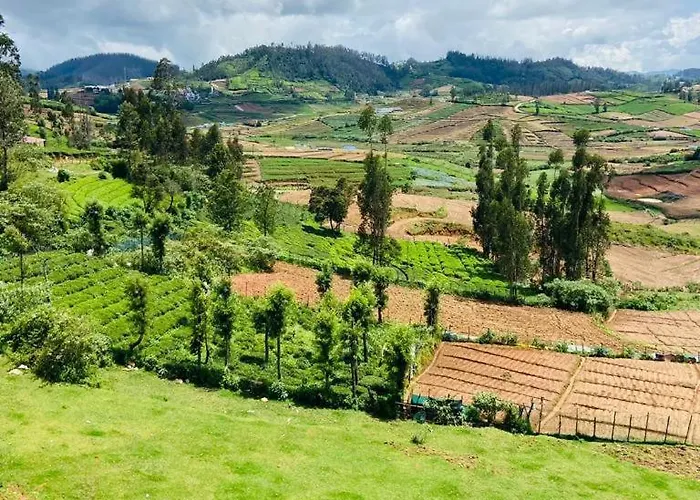 The Green Wood Ooty