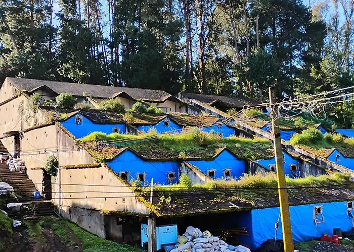 Kmt Green House Ooty