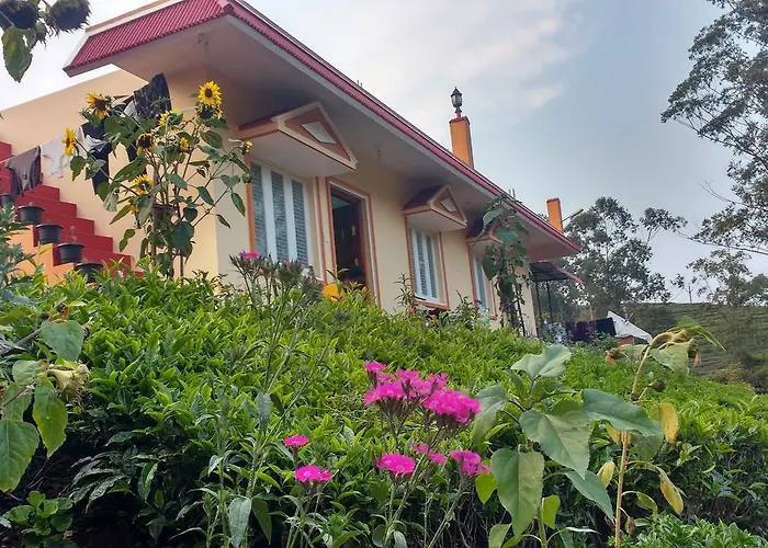 Nr Cottage
