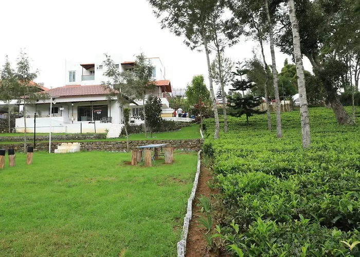 Bison View Resort