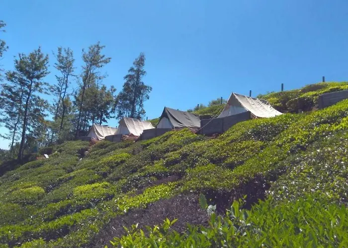 Swiss Tents In Ooty, Tn