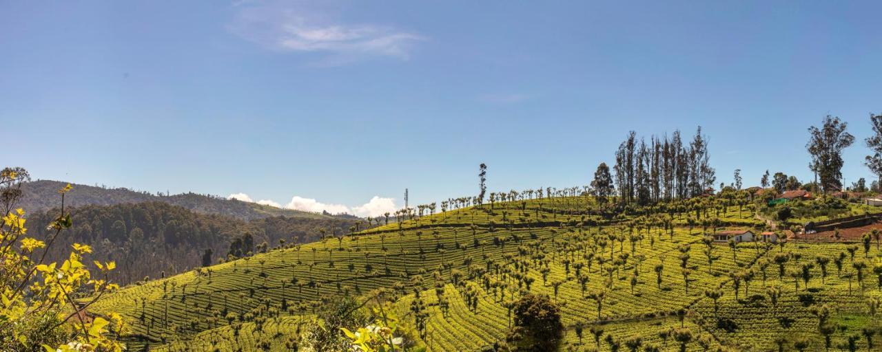 Club Mahindra Derby Green, Ooty