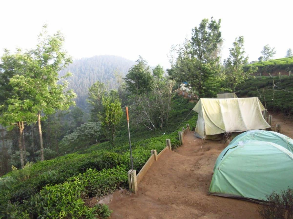 Janardan Tea Campsite Campsite
