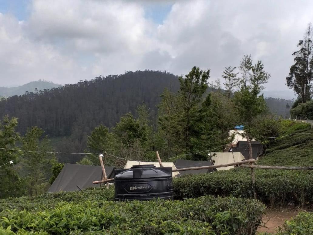 Janardan Tea Campsite Campsite