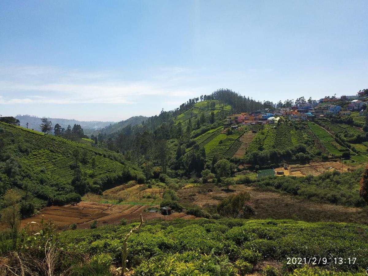 Janardan Tea Campsite Ooty