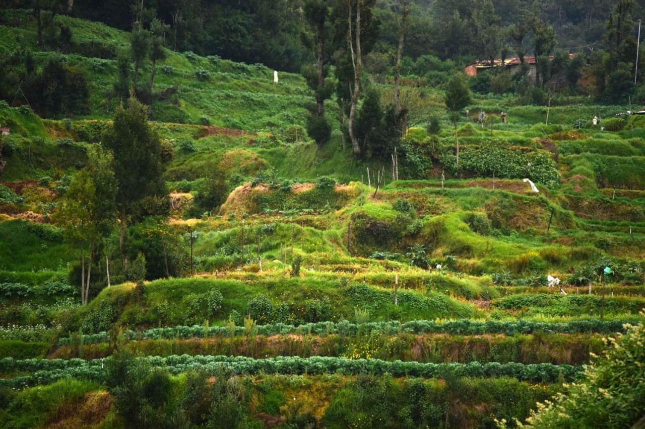 Sunset Valley * Ooty