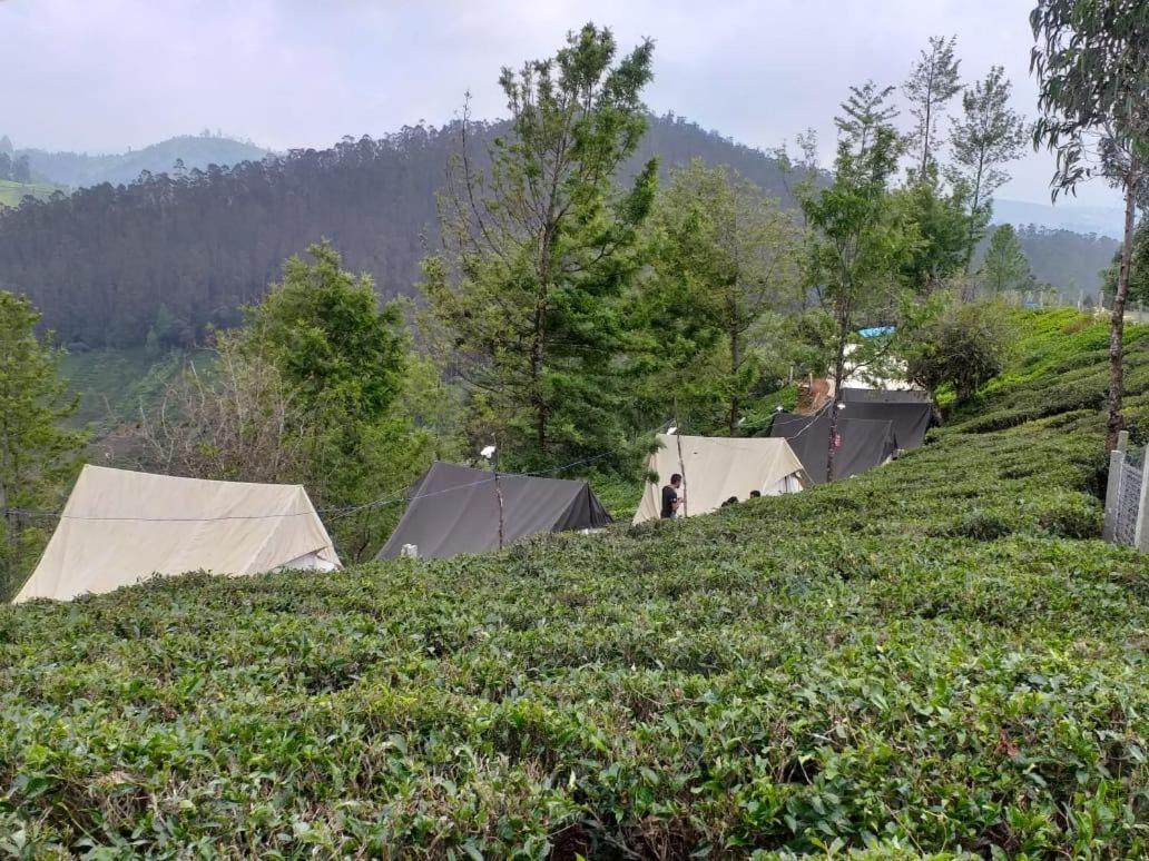 Campsite Janardan Tea Campsite *