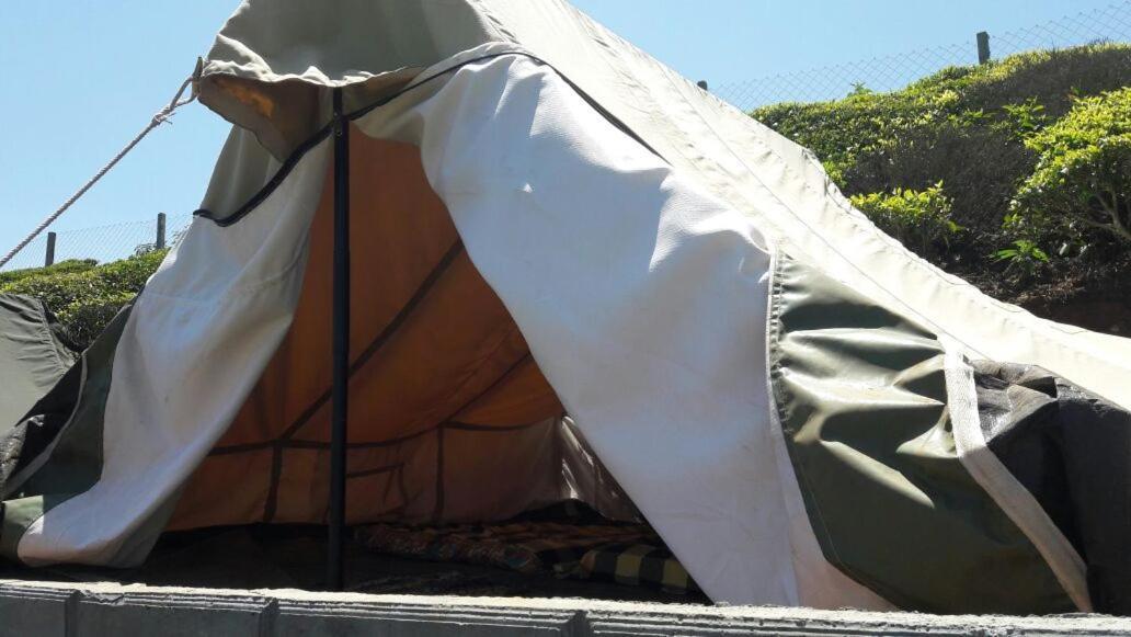 Janardan Tea Campsite * Ooty
