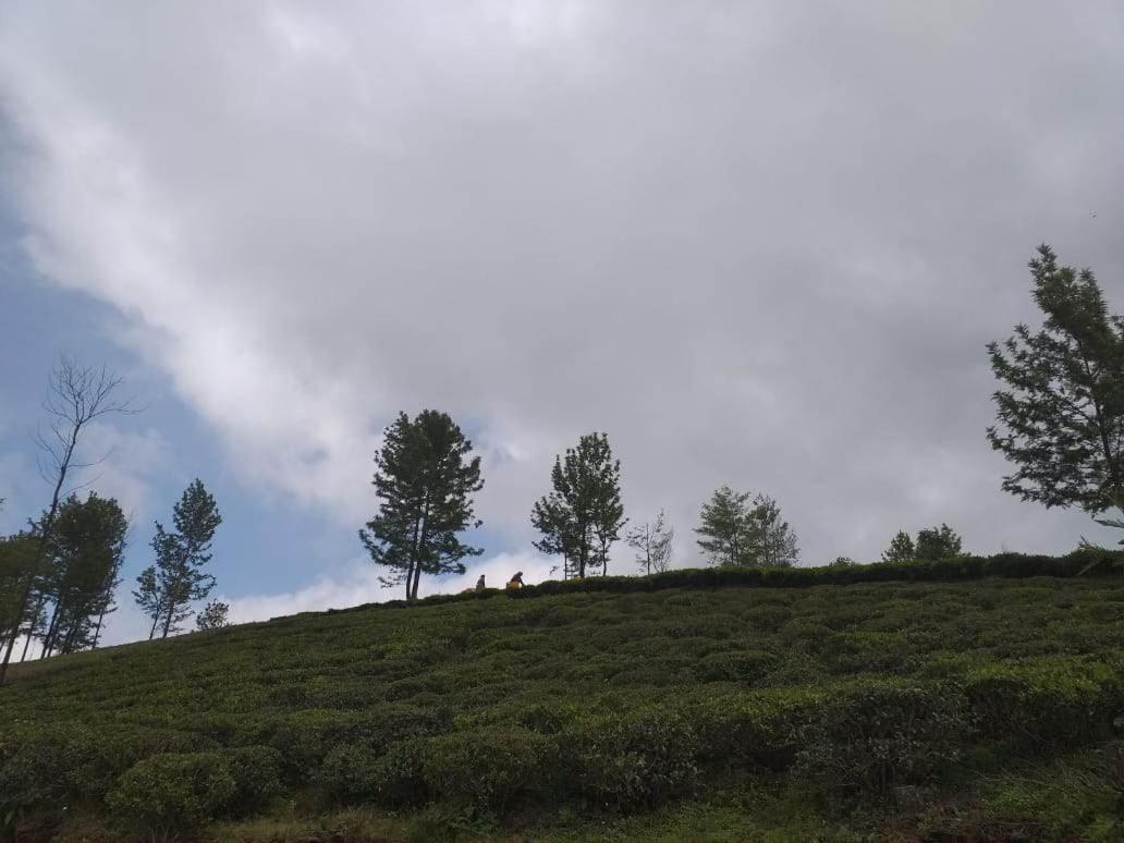 Janardan Tea Campsite Campsite *