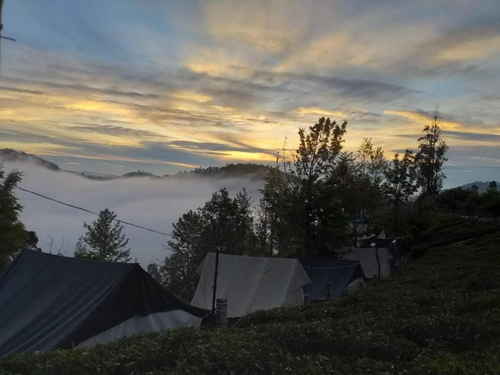 Campsite Janardan Tea Campsite *