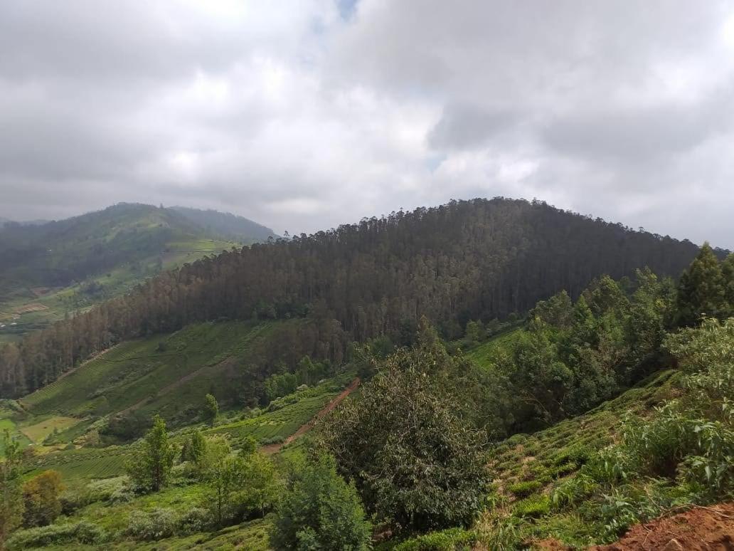 Janardan Tea Campsite Campsite Ooty