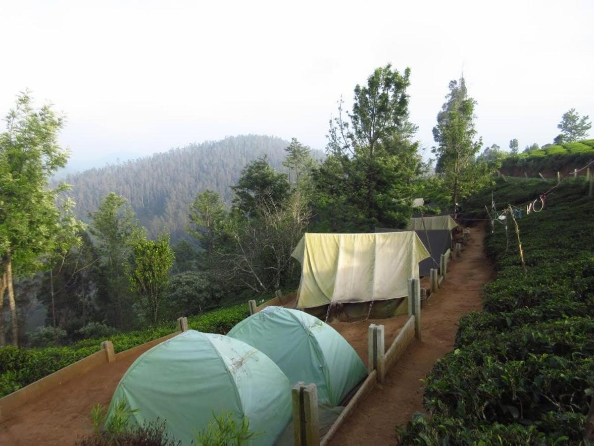Campsite Janardan Tea Campsite *