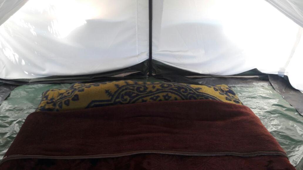 Janardan Tea Campsite *