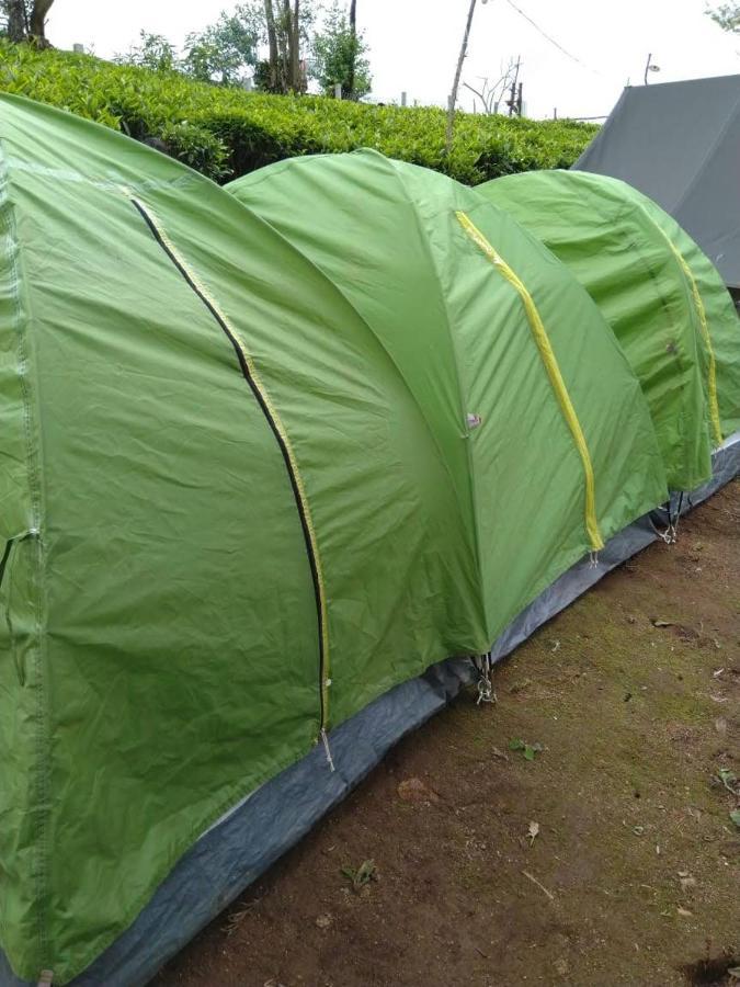 Campsite Janardan Tea Campsite *