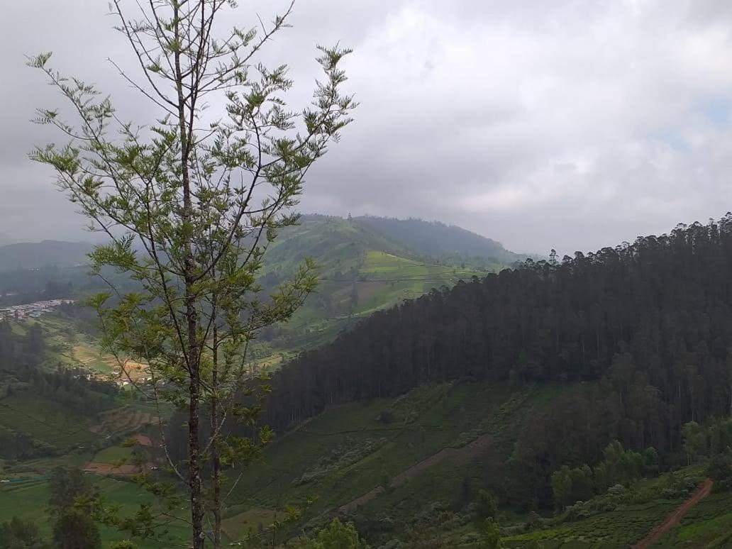 Janardan Tea Campsite Ooty