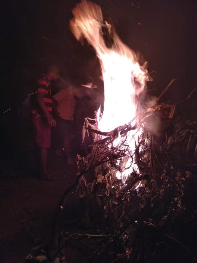 Janardan Tea Campsite Campsite