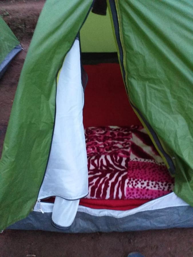 Janardan Tea Campsite Campsite Ooty