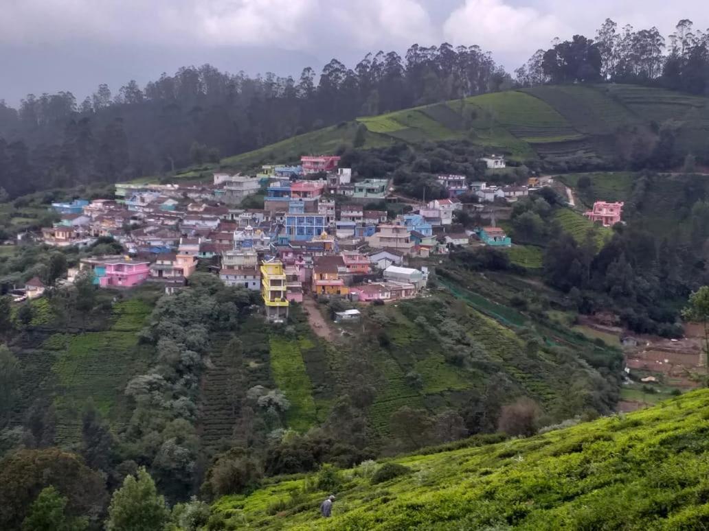 Janardan Tea Campsite