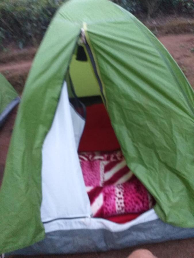 Janardan Tea Campsite Campsite *